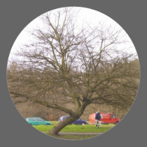 Tree stickers