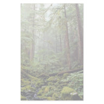 Tree stretch skyward in morning rains, Washington Customized Stationery
