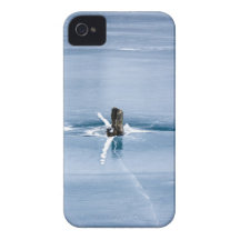 Tree Stump in Ice iPhone 4 Cases