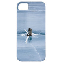 Tree Stump in Ice iPhone 5 Cover