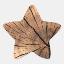 TREE STUMP STAR STICKERS