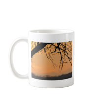 Tree/Sun mugs