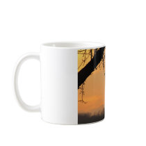 Tree/Sun mugs