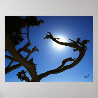 Tree Sun print