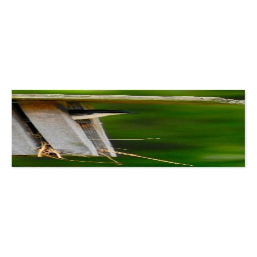 Tree Swallow Business Card Templates
