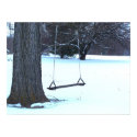 Tree Swing in Winter posters