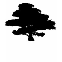 TREE T SHIRTS