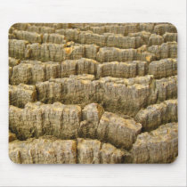 Tree texture mousepads