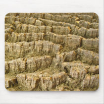 Tree texture mousepads