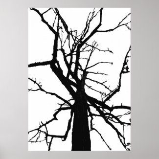 Tree Top Abstract Poster