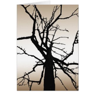 Tree Top Abstract Thank You Card