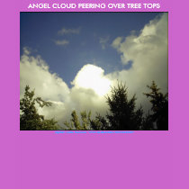 TREE TOP ANGEL T-SHIRT