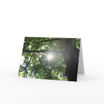 Tree top cards by _Prki_ Tree top cards
