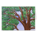 Tree Top cards