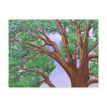 Tree Top Postcard