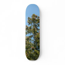 Tree Top skateboards
