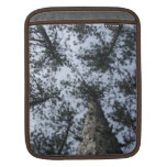 Tree Tops iPad Sleeve