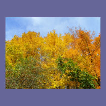 Tree Tops posters