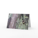 Tree Trunk 2 cards by ginnysanchez Tree Trunk 2 cards
