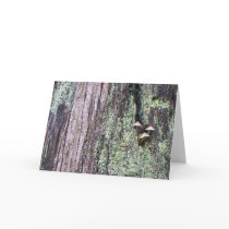 Tree Trunk 2 cards