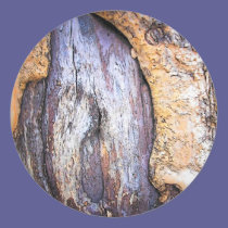 Tree Trunk stickers