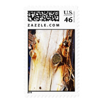 Tree Trunk with Knots Stamp