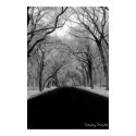 Tree Tunell posters by babyarm26 Tree Tunell posters