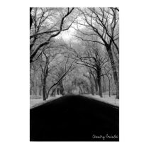 Tree Tunell posters