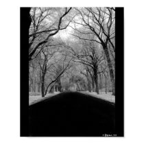 Tree Tunnel posters