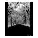 Tree Tunnel posters by babyarm26 Tree Tunnel posters