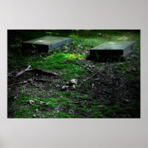 Tree Vein & Tombs Canvas Print