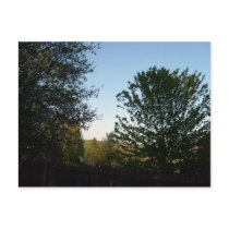 Tree View postcards