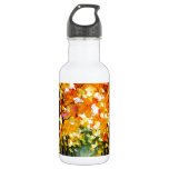 Tree Water Bottle