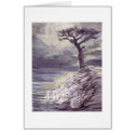 Tree With  a View cards