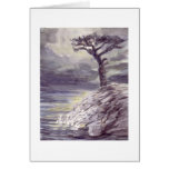 Tree With  a View cards