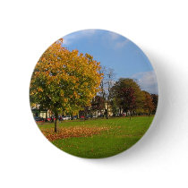 Tree With Falling Leaves In Autumn buttons