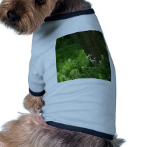 Tree with Ferns Pet Clothes