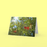 Tree with red flowers cards
