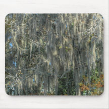 Tree With Spanish Moss Mouse Pad
