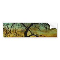 Tree with Sunset Backdrop Scene Bumper Sticker