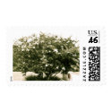 Tree with White Flowers Stamp by Lamb_And_Co Tree with White Flowers Stamp