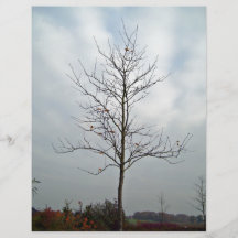 Tree without leaves against the blue sky custom flyer