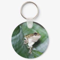 Treefrog keychains