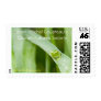 Treefrog Postage Stamp