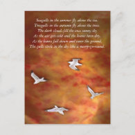 Treegulls Post Cards