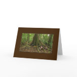 TreeHouse Montage Card