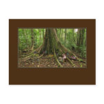 TreeHouse Montage Postcard