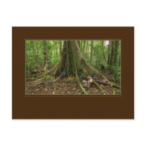 TreeHouse Montage Postcard