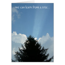 'Treehugger's' Card