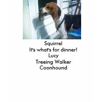 Treeing Walker Coonhound t-shirts by samroot Treeing Walker Coonhound t-shirts